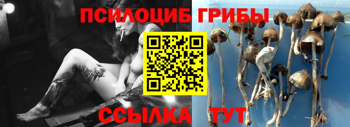 Мефедрон  Вход с VPN  ГАШ  АМФЕТАМИН   Alpha PVP СОЛЬ кристаллы  Магазины продажи наркотиков  Южно-Сахалинск  Меф МЯУ МЯУ   Конопля 