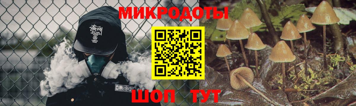 Псилоцибиновые грибы Magic Shrooms  Вход с VPN  Южно-Сахалинск 