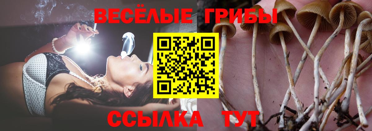 Псилоцибиновые грибы прущие грибы Южно-Сахалинск